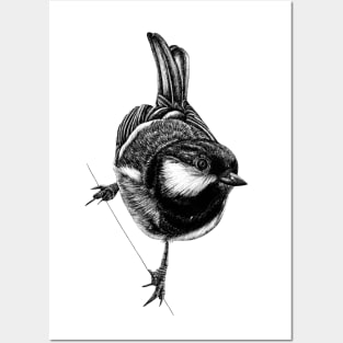 Coal tit bird Posters and Art